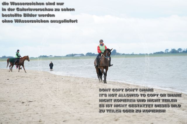 s_K3F04960.JPG